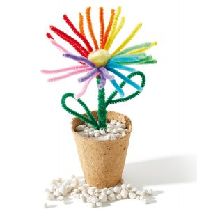 BT Regenbogenblume 850×900